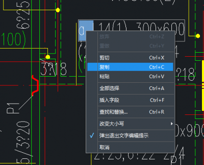 单独复制前缀内容