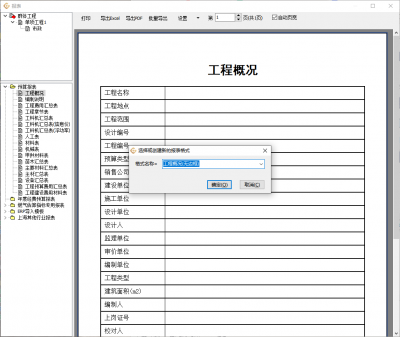 报表新格式命名